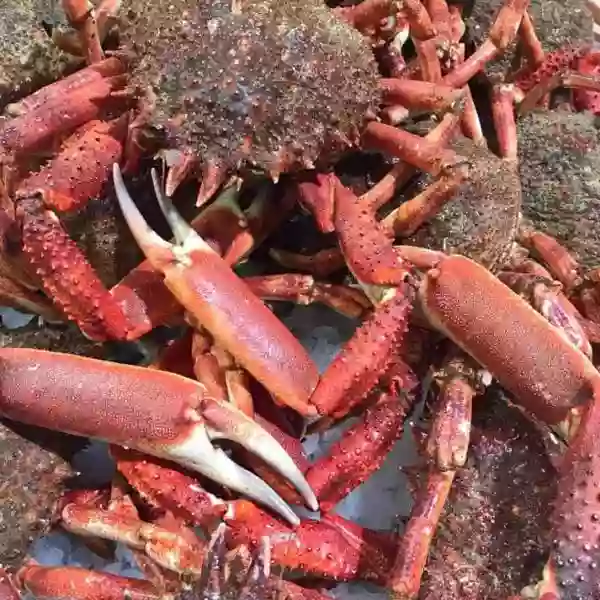 Le Restaurant - Le Refuge du Port - Noirmoutier